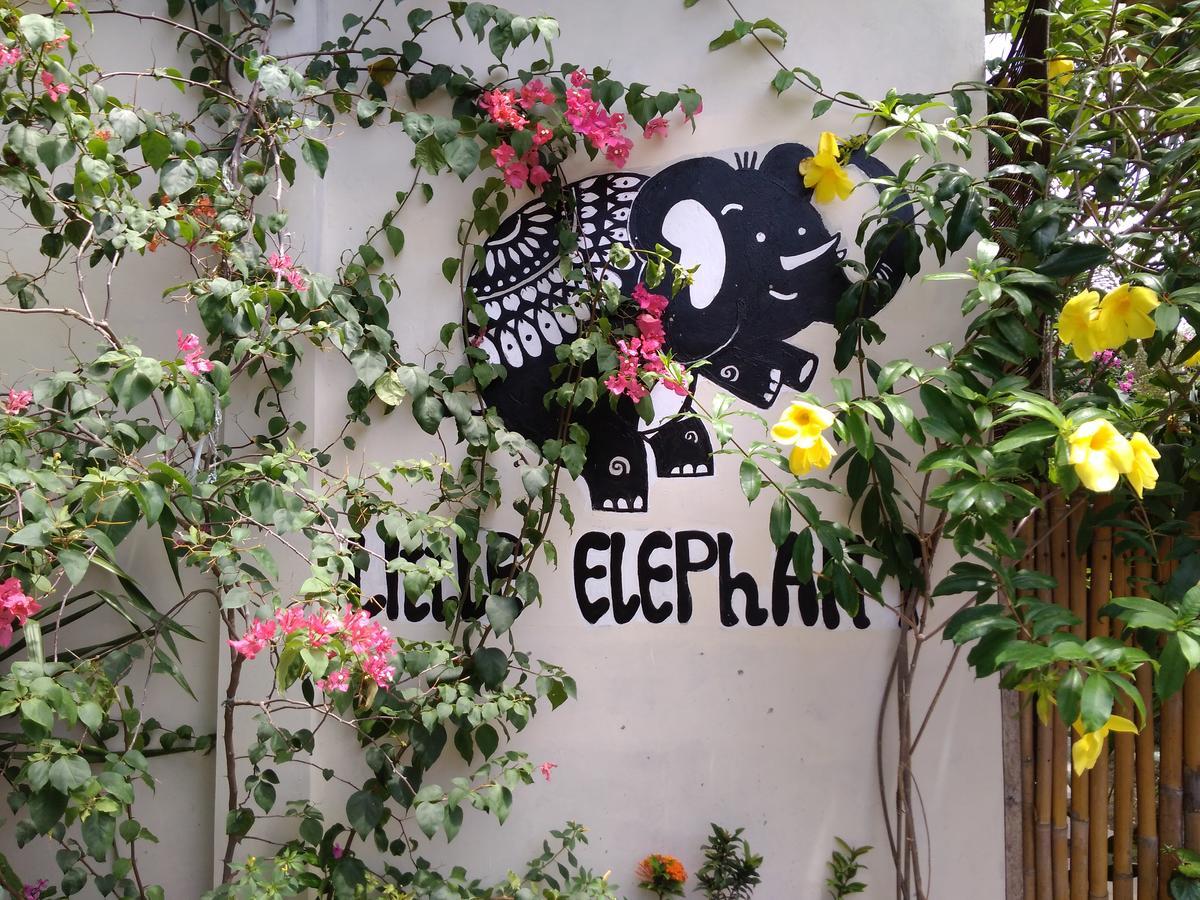Little Elephant Cottage Gili Trawangan Exteriör bild